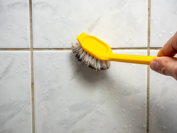 Home Mold Removal in Mount Pleasant, IA