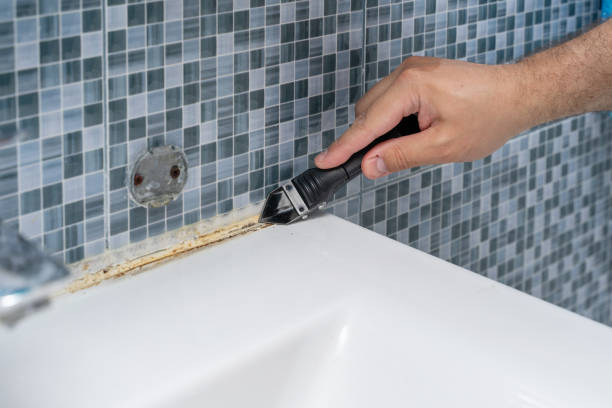 Mold Removal and Inspection in Mount Pleasant, IA